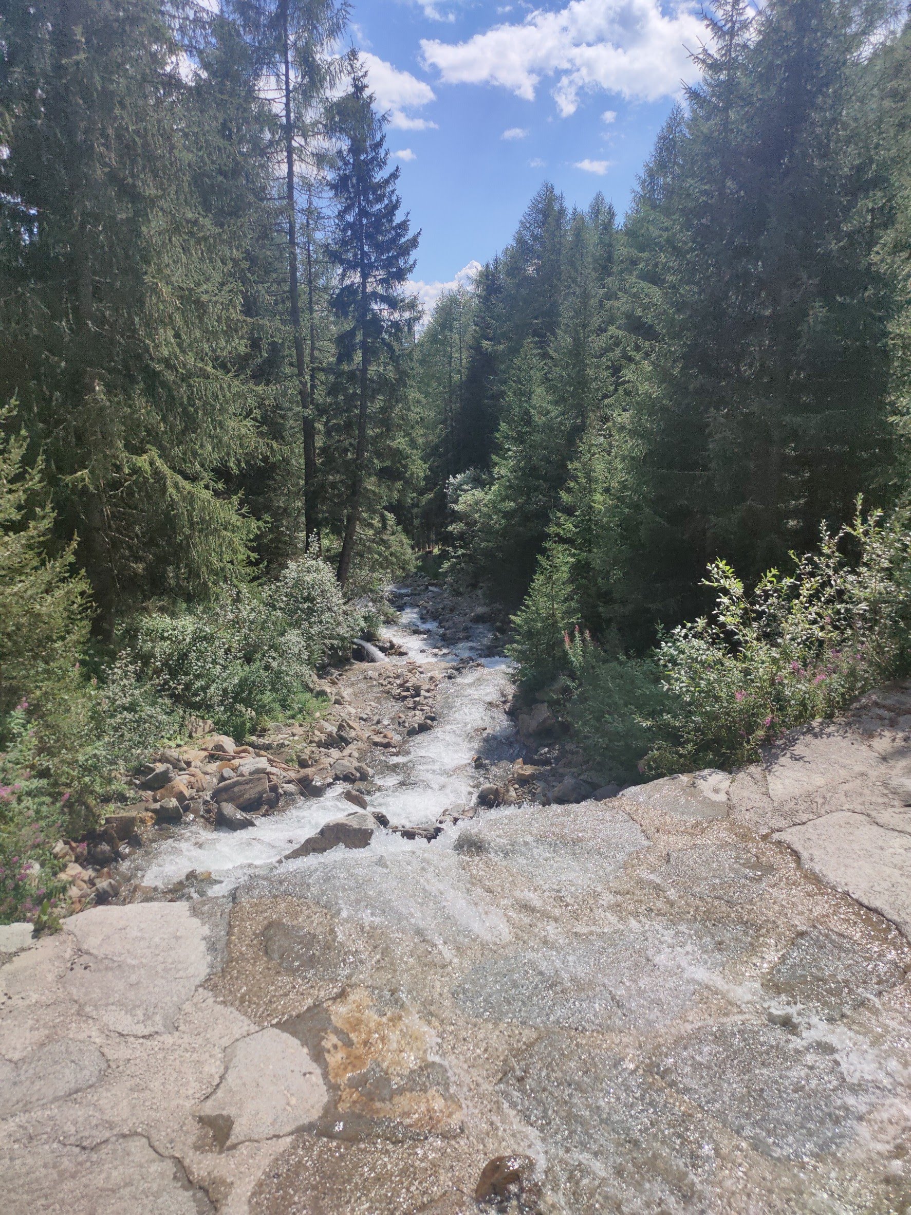 1660136834667